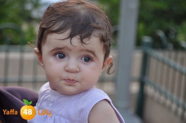 iftar  jama3y i (16).JPG